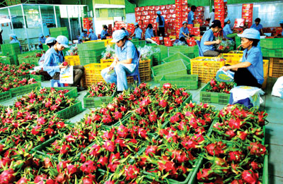 Boosting EU fruit and vegetable exports